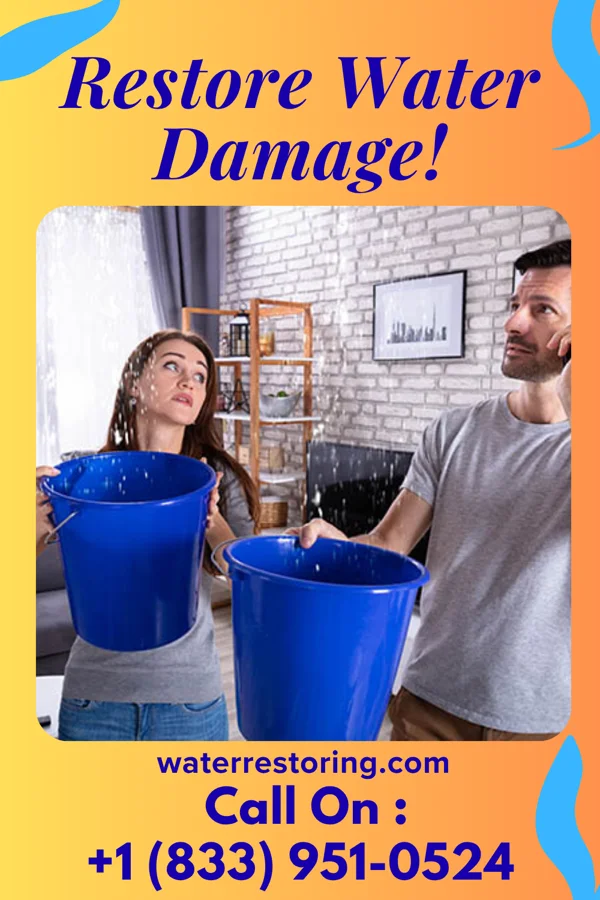 water restoration Sterling Drying Solutions Monroe