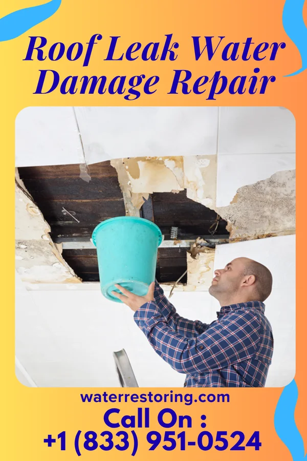 Roof Leak Water Damage Repair in Monroe, IA